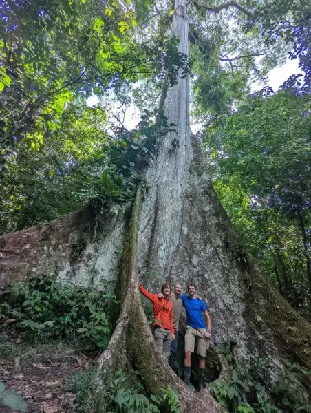 amazon rainforest tours